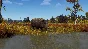 Way of the Hunter - Lintukoto Reserve DLC STEAM РОССИЯ
