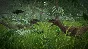 ⭐ Jurassic World Evolution EU XBOX One Key 🔑EUROPE