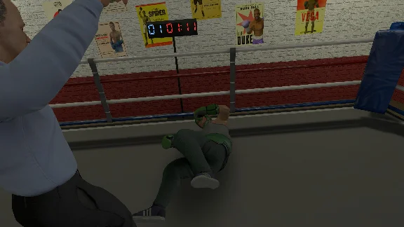 The Thrill of the Fight VR Gift Oculus Meta 2|3|3S|Pro