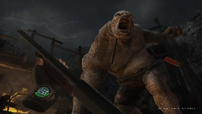 Resident Evil 4 VR Quest Store Автодоставка 24/7