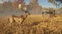 theHunter: Call of the Wild Tents & Ground Blinds STEAM