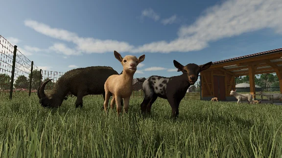 FARMING SIMULATOR 25 (PC) PC (WIN) KEY/CODE