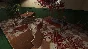 CRIME SCENE CLEANER XBOX SERIES S|X + PC (WIN) КЛЮЧ/КОД