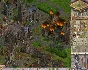 ⭐ Anno 1503 A.D. GOG Key 🔑 GLOBAL