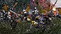 Total War: Shogun 2 The Ikko Ikki Clan Pack Steam Ключ