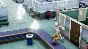 Two Point Hospital | Full Health Collection* Steam Ключ