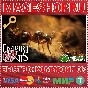 🟢⚡EMPIRE OF THE ANTS XBOX SERIES X|S+ПК КЛЮЧ