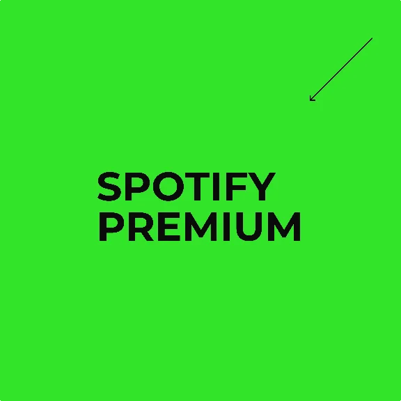 SPOTIFY PREMIUM - 3/6/12 - СОЛО/ДУО - РФ + МИР