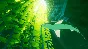 ⭐ ABZU EU XBOX One Key 🔑 EUROPE