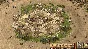 Stronghold Crusader: Definitive Edition * RU/CIS/TR/AR