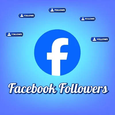 Facebook Followers Page guarantee NO DROP