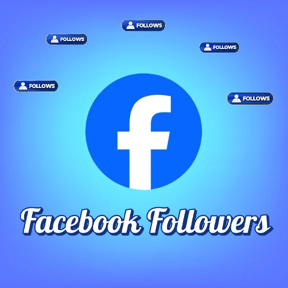Facebook Followers Page guarantee NO DROP