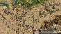 ⭐️ Stronghold Crusader: Definitive Edition STEAM GIFT