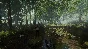 The Forest  АВТОДОСТАВКА STEAM РОССИЯ