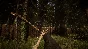 Sons Of The Forest АВТОДОСТАВКА STEAM РОССИЯ
