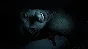AMBER ALERT DIRECTOR´S CUT XBOX KEY/CODE