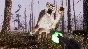 BIG BUCK HUNTER: ULTIMATE TROPHY XBOX SERIES S|X + PC (