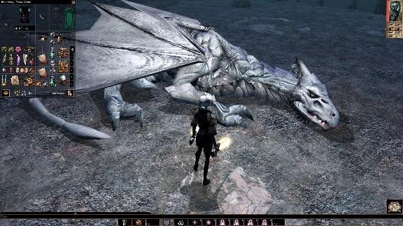 Neverwinter Nights: Enhanced Edition 💎 STEAM GIFT RU