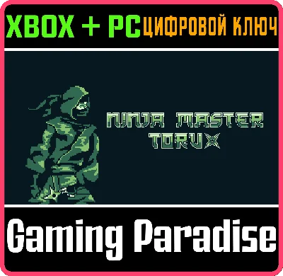NINJA MASTER TORU (WINDOWS + XBOX) XBOX + PC (WIN) KEY/