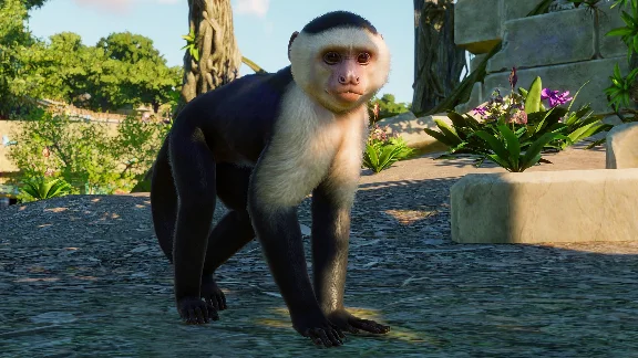PLANET ZOO: SOUTH AMERICA PACK XBOX SERIES S|X KEY/CODE