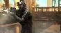 Insurgency: Sandstorm - Gray Man Gear Set DLC STEAM