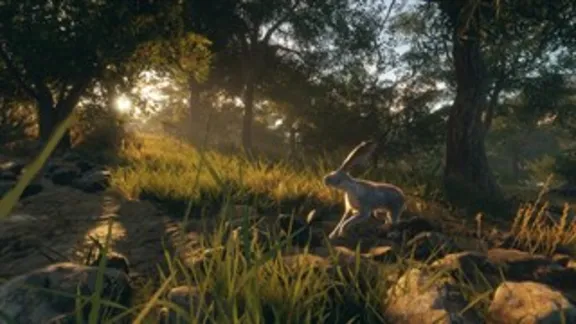 theHunter: Call of the Wild™ - Rancho Del Arroyo XBOX🔑