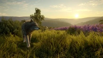 theHunter™: Call of the Wild - Cuatro Colinas XBOX 🔑