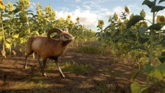 theHunter™: Call of the Wild - Cuatro Colinas XBOX 🔑