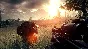 Operation Flashpoint: Red River + Dragon Rising Steam