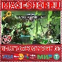 🟢⚡WARHAMMER 40,000: MECHANICUS XBOX ONE/X|S КЛЮЧ