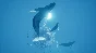 ABZU Steam Key Global +Bonus