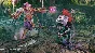 Gloomhaven Jaws of the Lion Expansion DLC STEAM RUSSIA