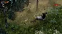 🚀 WolfQuest: Anniversary Edition 🤖 Steam Gift AUTO