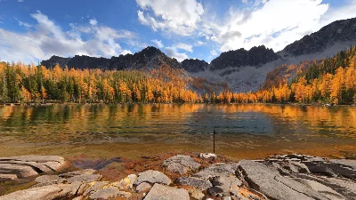 Real VR Fishing Gift Oculus Meta Quest 1|2|3|3S|Pro