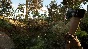 ⭐️ВСЕ СТРАНЫ+РОССИЯ⭐️ DREADZONE STEAM GIFT