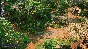 🔑Jagged Alliance 3 (Steam Ключ РФ+Мир)
