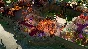 ⭐️ALL COUNTRIES⭐️ Two Point Museum Fantasy Finds STEAM