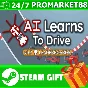 ️ALL COUNTRIES️ AI Learns To Drive STEAM GIFT