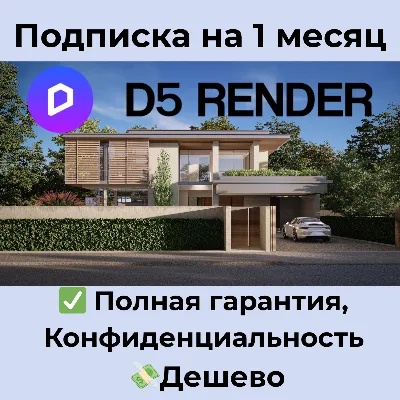 D5 Render | Pro / Teams Subscription 1 Month