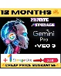 Gemini Pro 5000/Veo 3 кредита в месяц 👉10ТБ 12 месяцев