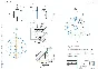 Drawing and 3D model of the part Axis in the program Co