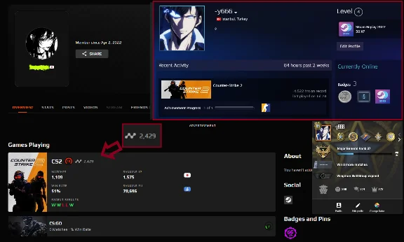 CS2 FACEIT Account + Prime | LEVEL 10 [2500] | 4500h