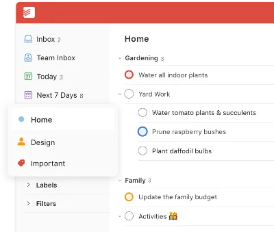 Todoist Pro | Subscription 1/12 months to your account