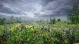 SIMULATOR OF LONELINESS IN THE RUSSIAN VILLAGE 💎STEAM