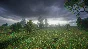SIMULATOR OF LONELINESS IN THE RUSSIAN VILLAGE 💎STEAM