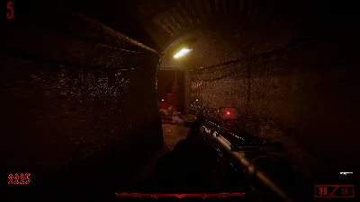 Cursed Dawn АВТОДОСТАВКА STEAM РОССИЯ