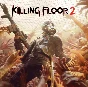 🔥 Killing Floor 2 /Steam key🔑/RU+CIS