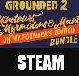・GROUNDED 2 (2025)・FOUNDER´S EDITION・STEAM・GLOBAL・PC・