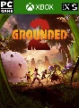 ✅ Grounded 2 XBOX SERIES X|S PC Digital KEY