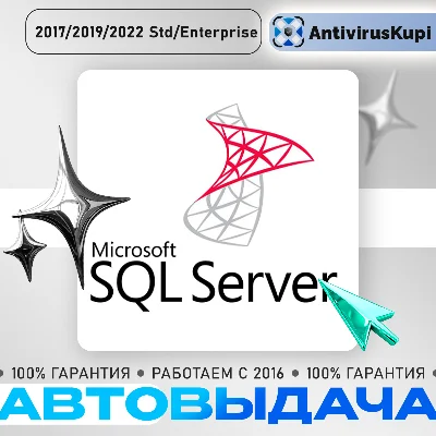 SQL Server 2017/2019/2022 Standard/Enterprise
